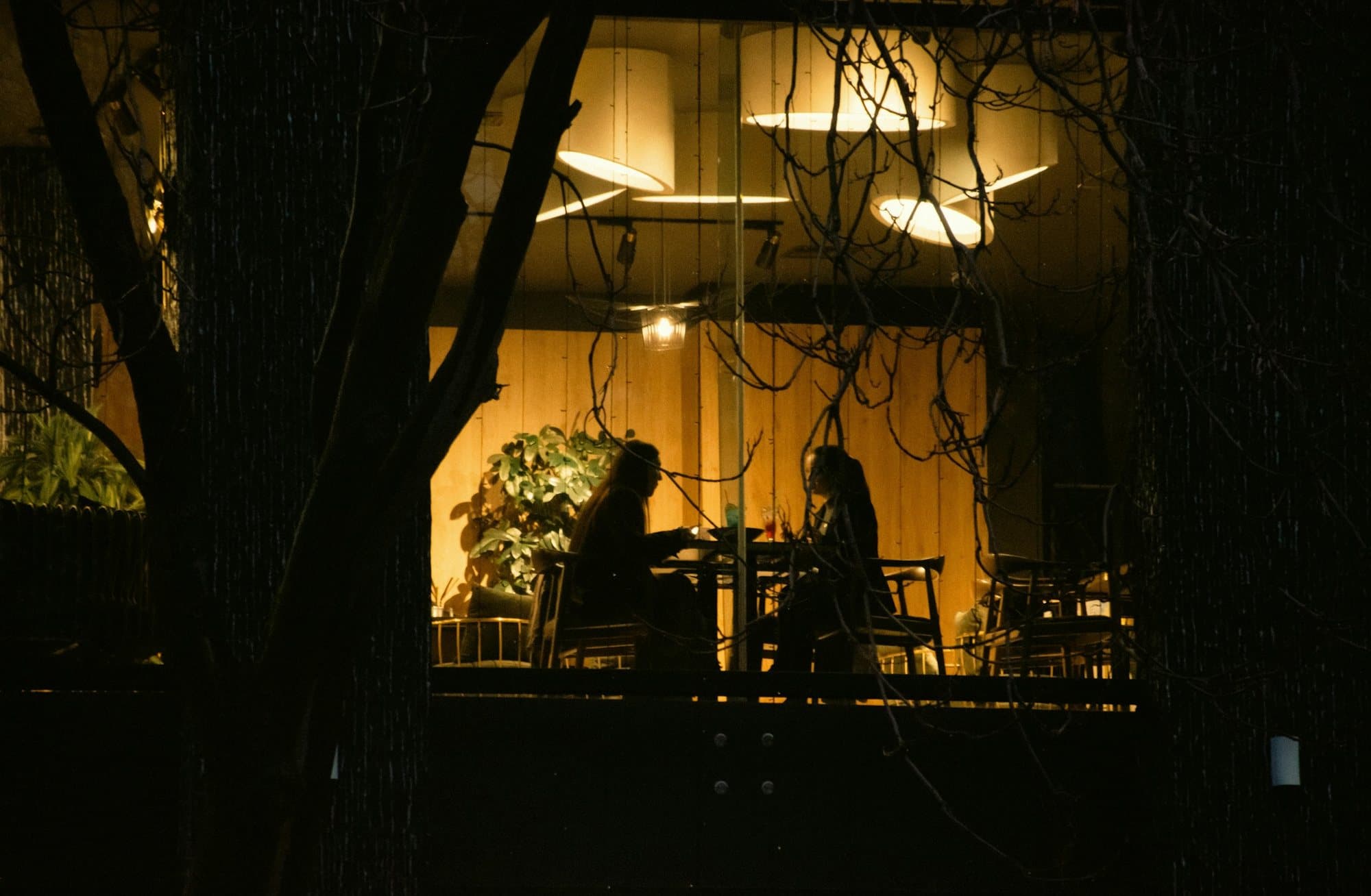 Guests sharing dinner